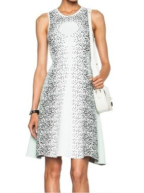 Opening Ceremony Mint, Ivory & Black Speckled Fit-and-Flare Dress